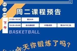  业余爱好者如何找到合适的篮球训练支持渠道？